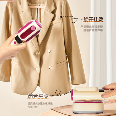 RoHS and CE Certified LM-2303 Handheld Garment Steamer for Perfectly Steamed Clothes