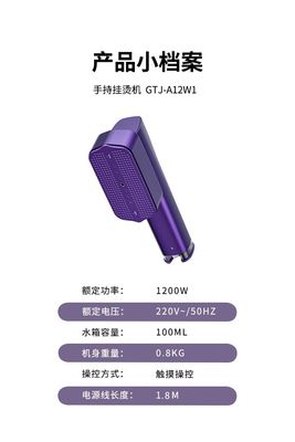 LM-2401 Handheld Garment Steamer with EMC Certification and Anti Dry Burning